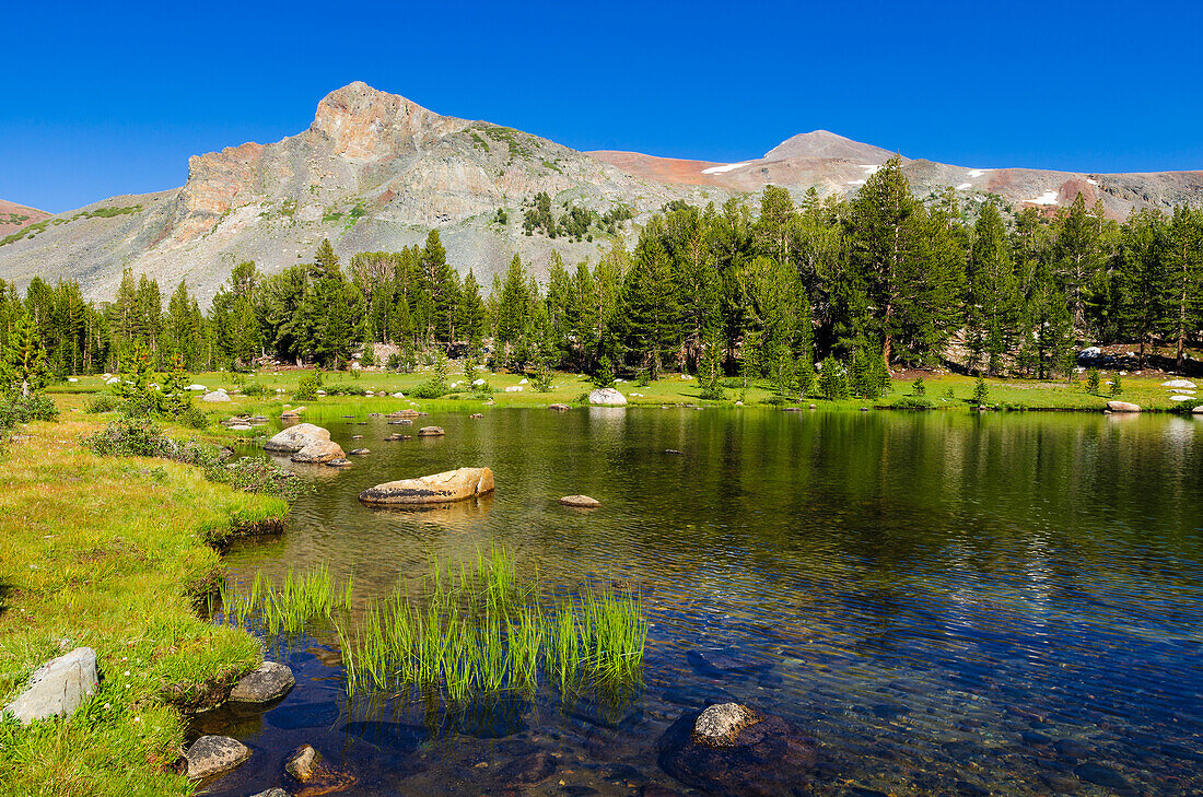 Alpensee in Dana Meadows unter Mount Dana, Tuolumne Meadows, Yosemite-Nationalpark, Kalifornien, USA