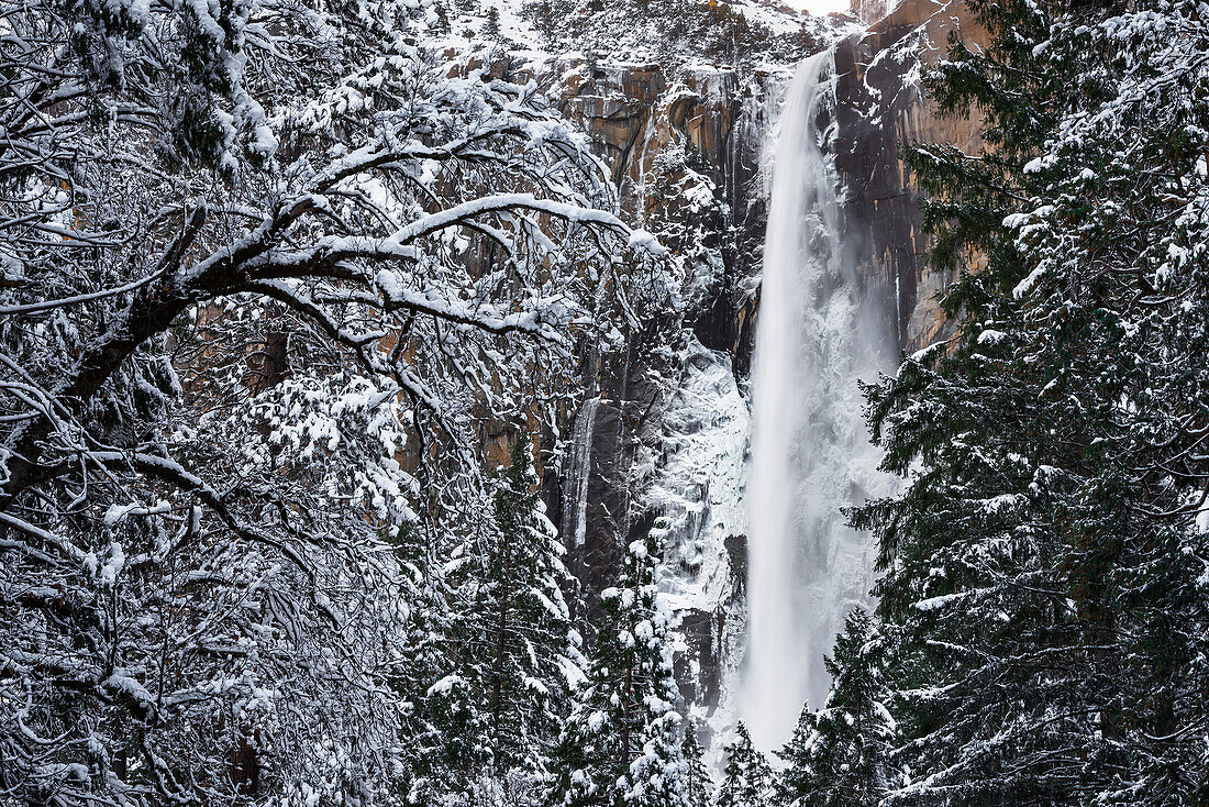 Bridalveil Fall in winter, Yosemite Valley, Yosemite National Park, California, USA.