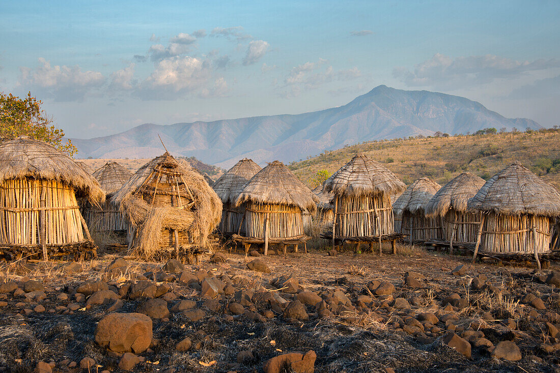 Africa, Ethiopia, Omo River Valley, Mago National Park, Mursi Tribe, Belle village. Thatched roofed buildings used for grain storage sit at the edge of an area where grass was controlled burned.