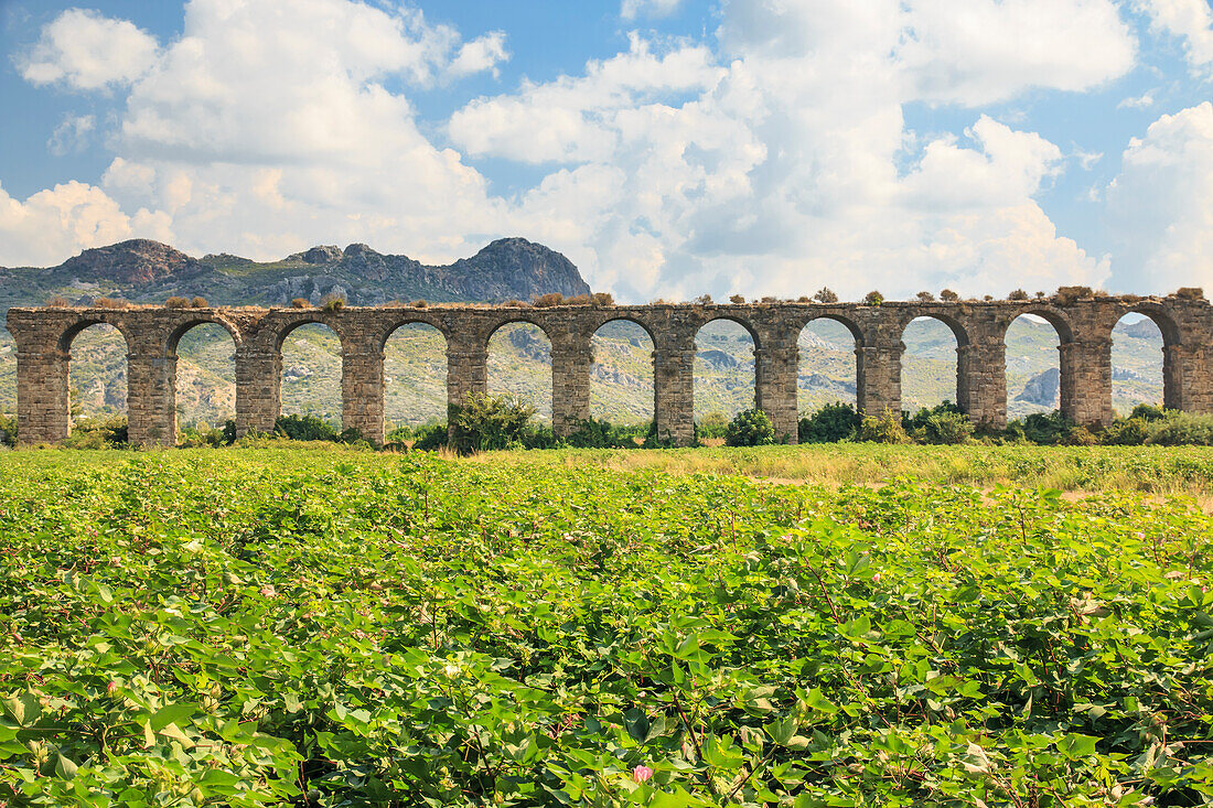 Turkey, Anatolia, Antalya, Aspendos, Aspendos Aqueduct over River Eurmedon.