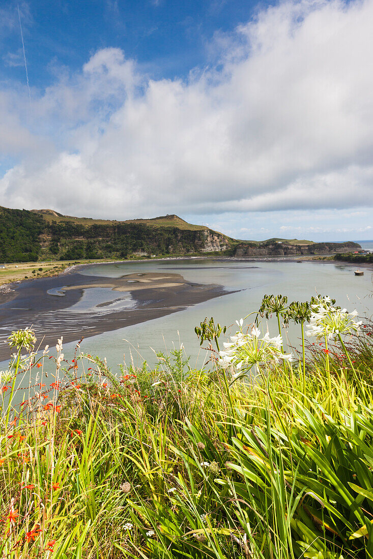 New Zealand, North Island, Mokau. Mokau harbor landscape