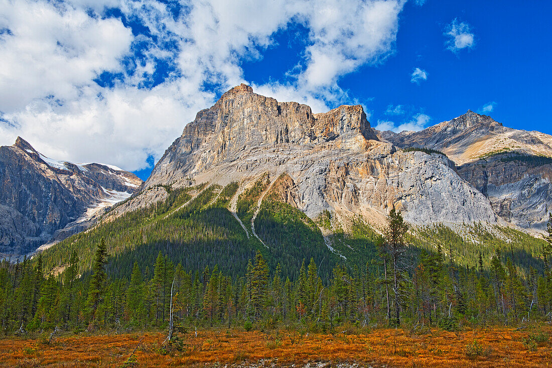 Kanada, Alberta, Yoho-Nationalpark. Die Berglandschaft der President Range