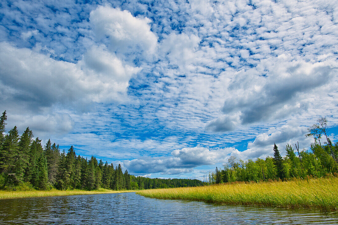 Kanada, Manitoba, Whiteshell Provincial Park. Fluss- und Waldlandschaft.