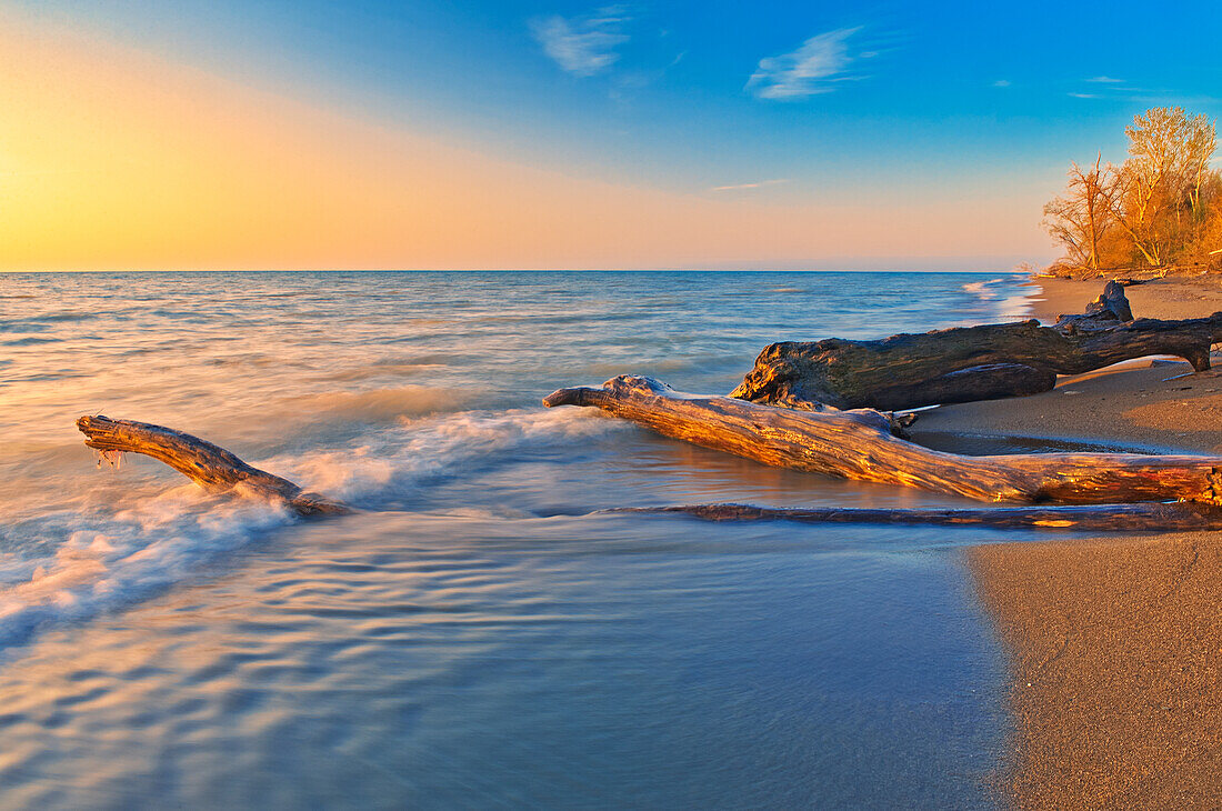 Kanada, Ontario, Point-Pelee-Nationalpark. Treibholz am Ufer des Lake Erie bei Sonnenaufgang