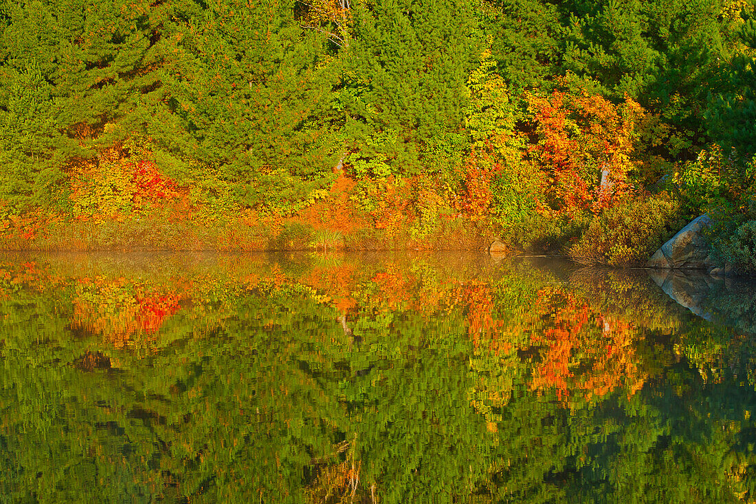 Kanada, Ontario, Sudbury. Herbstfarben spiegeln sich bei Sonnenaufgang im Lake Laurentian wider