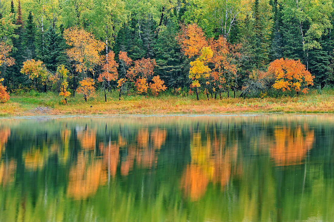 Kanada, Ontario, Distrikt Kenora. Waldherbstfarben spiegeln sich in Middle Lake wider