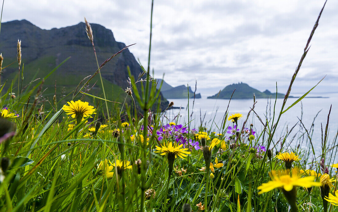 Coast Near Gasadalur. Island Vagar, Part Of The Faroe Islands In The North Atlantic. Denmark