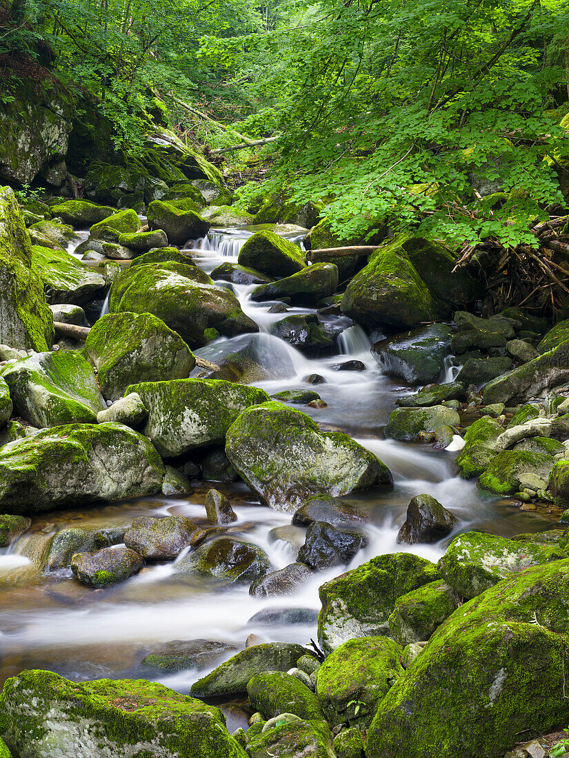 Tal der Wolfsteiner Ohe (Buchberger Leite) im Bayerischen Wald. Europa, Deutschland, Bayern