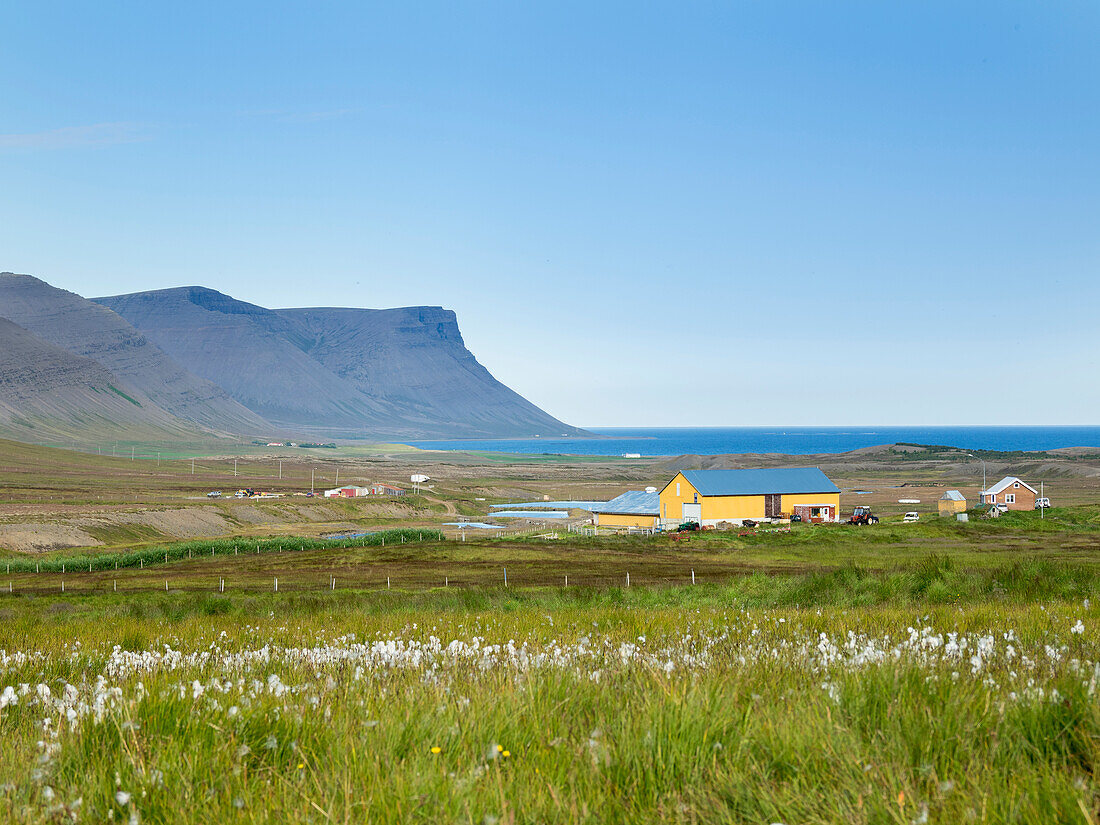 Landschaft auf der Halbinsel Thingeyri. Die abgelegenen Westfjorde (Vestfirdir) im Nordwesten Islands.