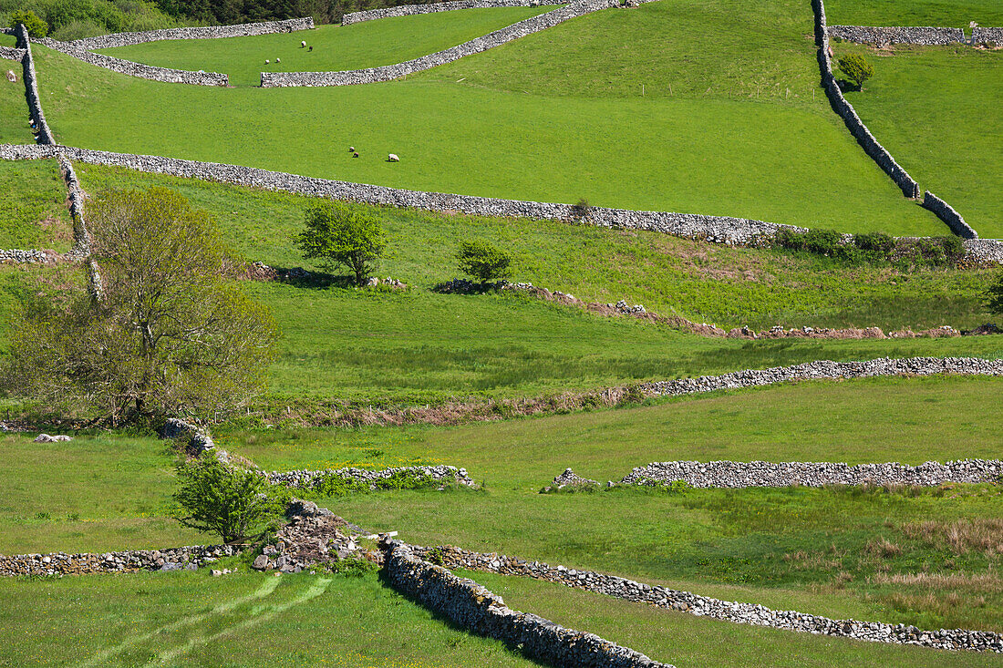 Irland, County Galway, Cong, erhöhte Frühlingslandschaft