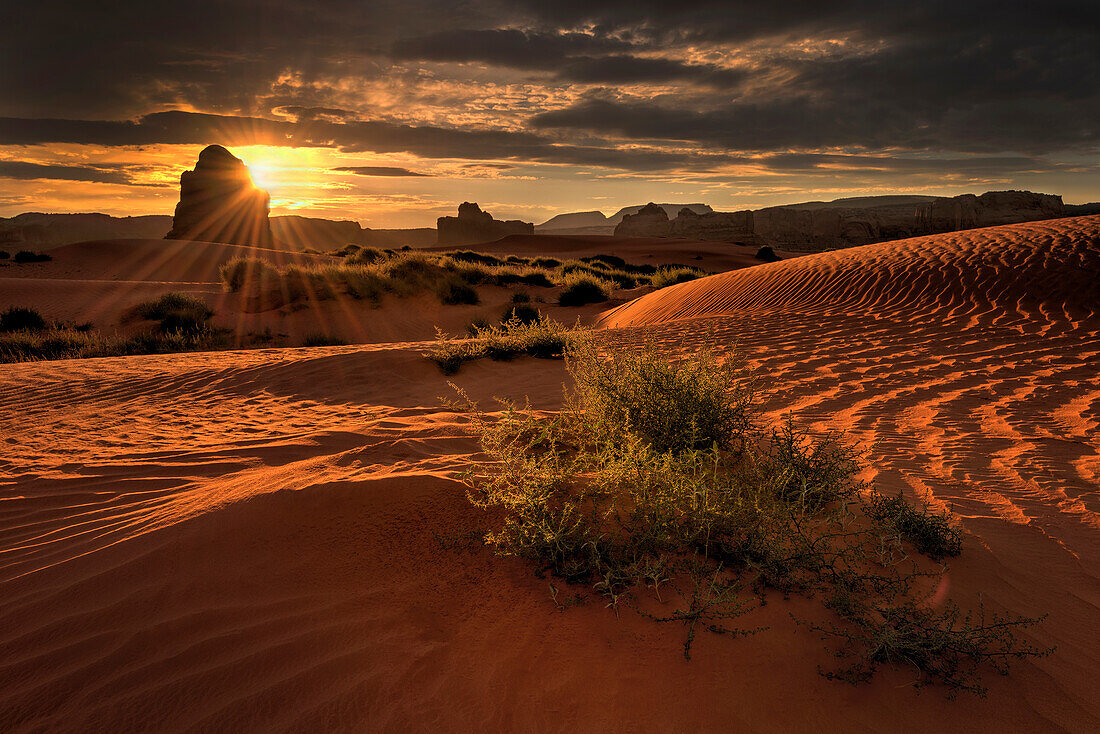 Lukaschenka-Wüste Sanddünen im Norden von Arizona