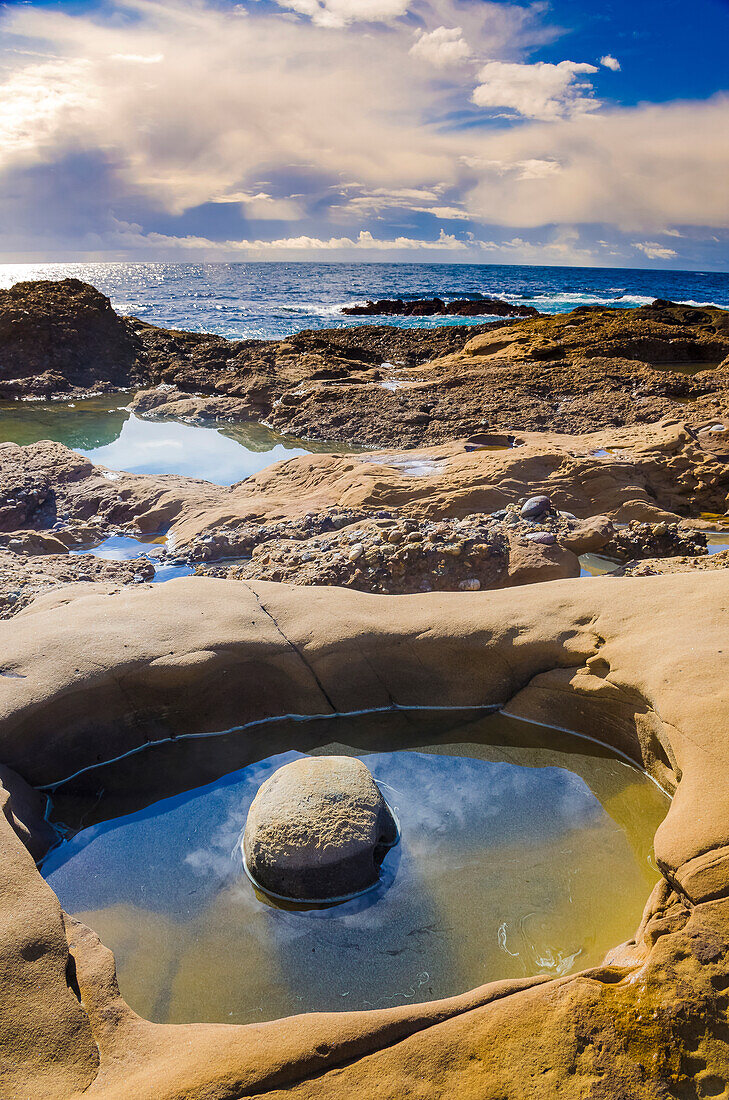 Tidepool, Point Lobos State Natural Reserve, California, USA