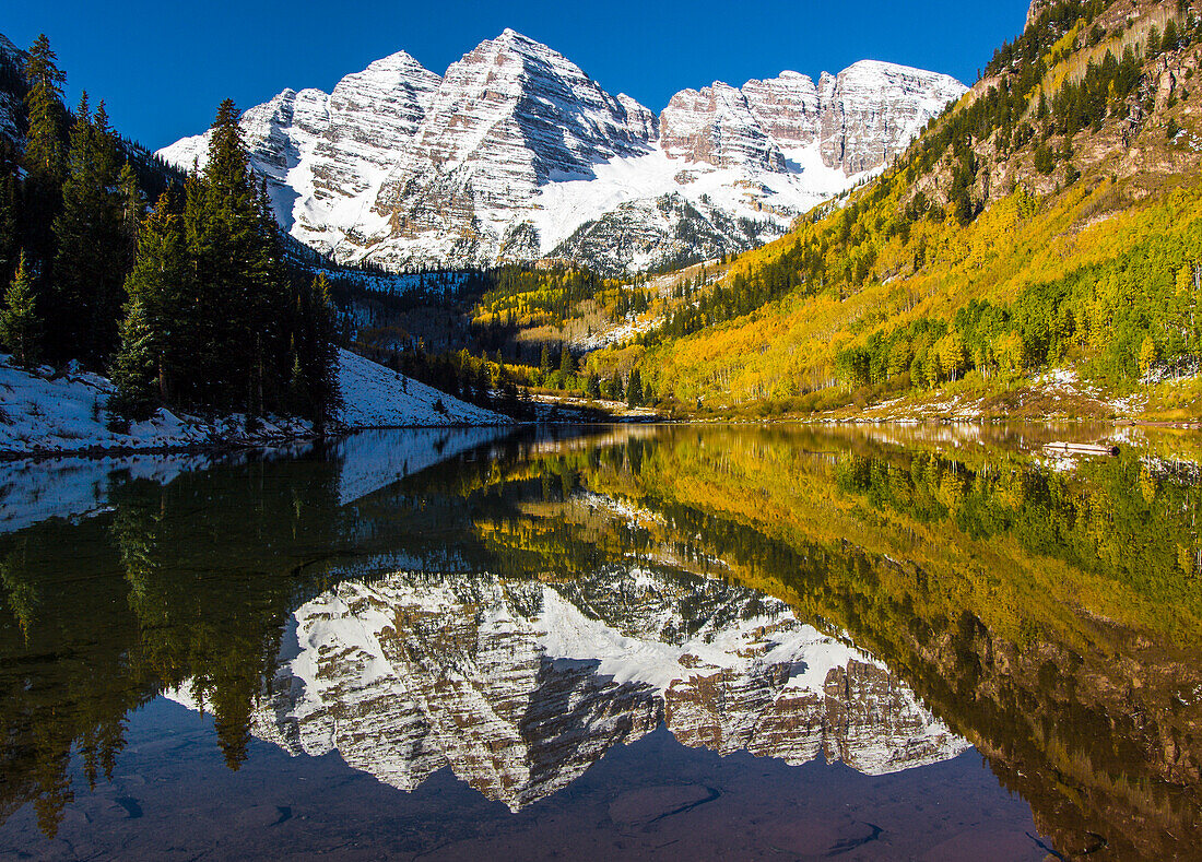 USA, Colorado, Kastanienbraune Glocken