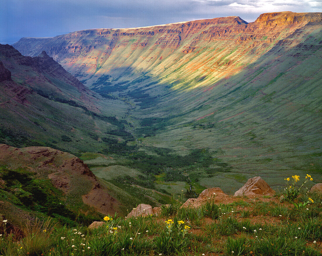 USA, Oregon. Steens Mountain and Kiger Gorge landscape.