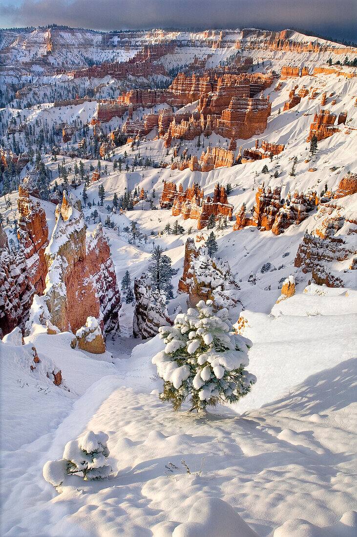 USA, Utah, Bryce-Canyon-Nationalpark. Wintersonnenaufgang auf schneebedeckter Landschaft.