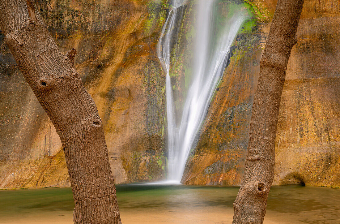 USA, Utah. Grand Staircase Escalante National Monument, Lower Calf Creek Falls and surrounding sandstone are framed between two trees.