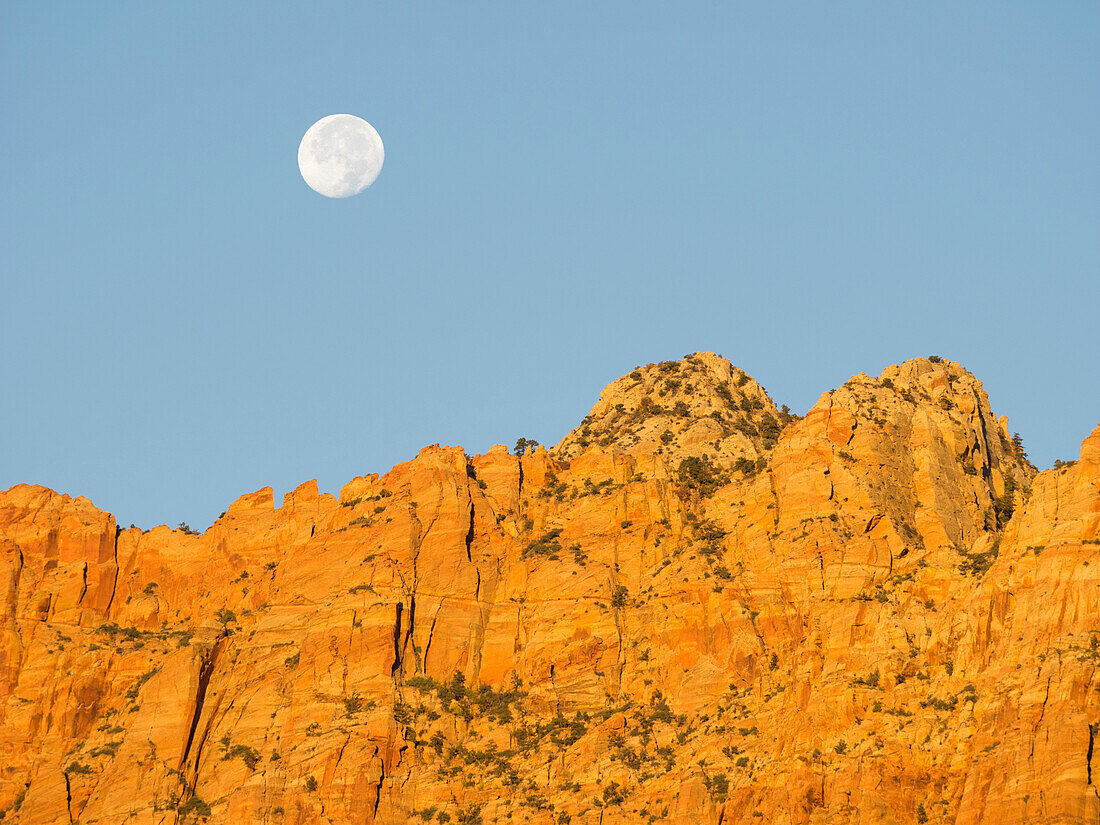 USA, Utah. Zion National Park, Canyonwand und Vollmond