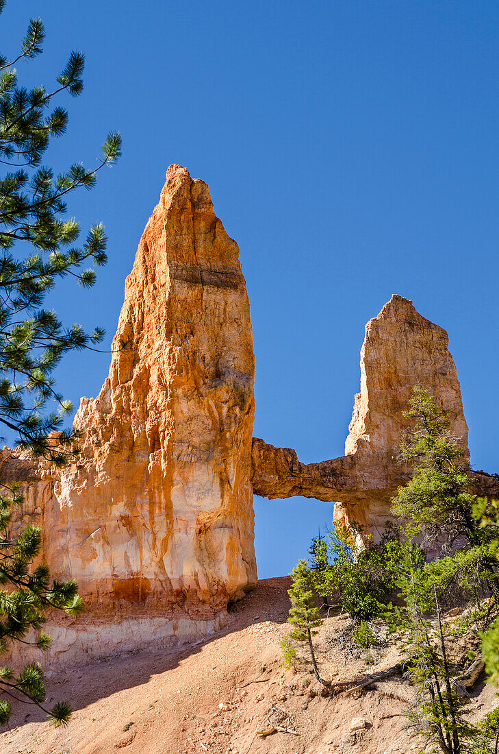 Tower Bridge rock formation, Bryce Canyon National Park, Utah, USA.