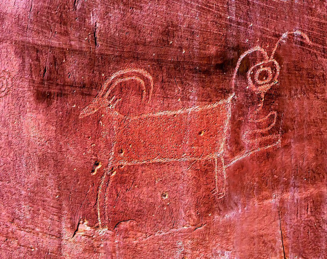 Native American Indian Fremont Schaf Ziege Petroglyph Sandstein Berg Capitol Reef National Park Torrey