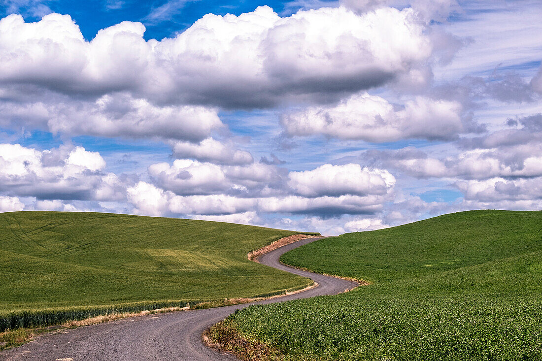 USA, Washington State, Palouse, winding road, farm