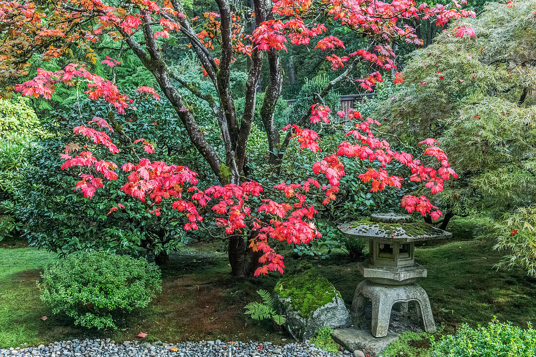Staat Washington, Seattle. Japanischer Garten