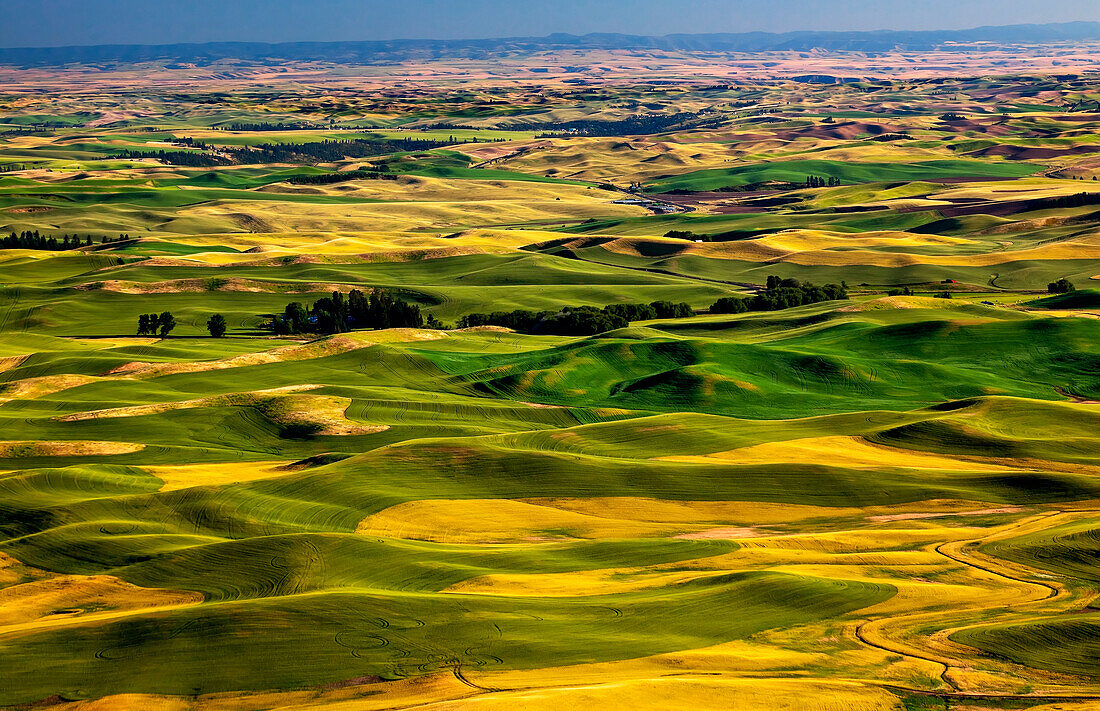 Gelbgrüne Weizenfelder Straßen und Bauernhöfe von Steptoe Butte in Palouse, Washington