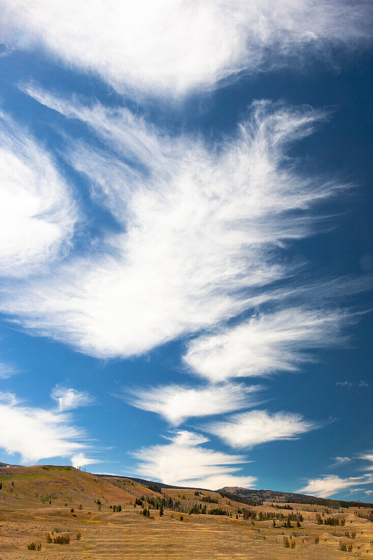 Yellowstone National Park, Lamar Valley. Beautiful clouds dot the sky above the valley.