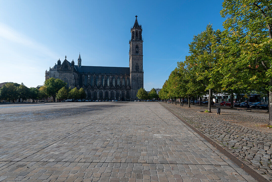 Magdeburg Cathedral, empty cathedral square, row of trees, Magdeburg, Saxony-Anhalt, Germany