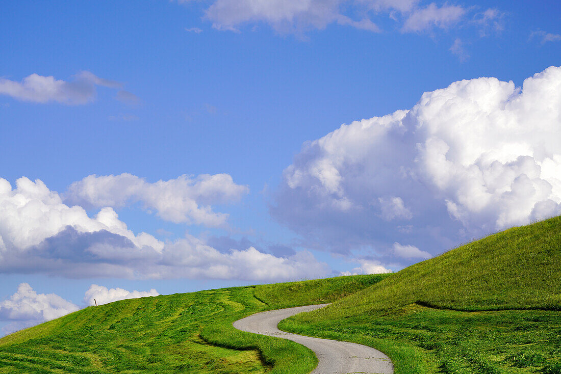 Der blaue Sommerhimmel spannt sich über eine frisch gemähte saftige Wiese, Bayern, Deutschland