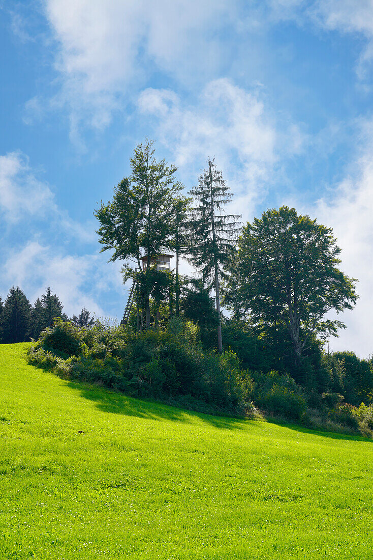 Jägersitz near Bad Kohlgrub, Bavaria, Germany