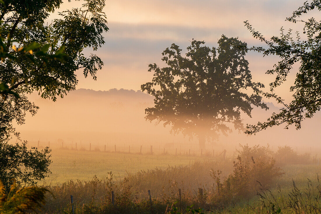 Picturesque September morning near Unterhausen, Weilheim, Upper Bavaria, Bavaria, Germany