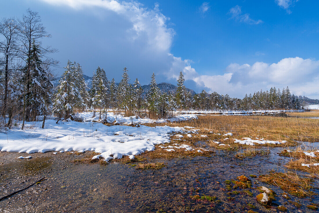 Wintermorgen an den Sieben Quellen, Eschenlohe, Bayern, Deutschland, Europa