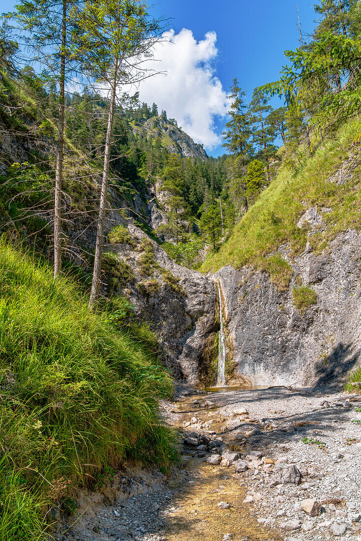 Small idyllic waterfall near Vorderriss, Isarwinkel, Upper Bavaria, Bavaria, Germany