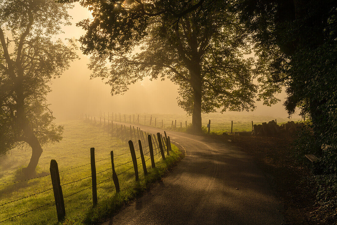 Foggy early autumn morning at the edge of the large Ostersee, Bavaria, Germany, Europe