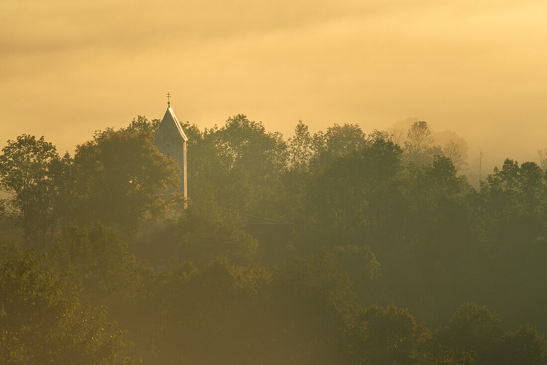 Beautiful foggy morning in the Kochelmoos in September, Sindesldorf, Großweil, Bavaria, Germany