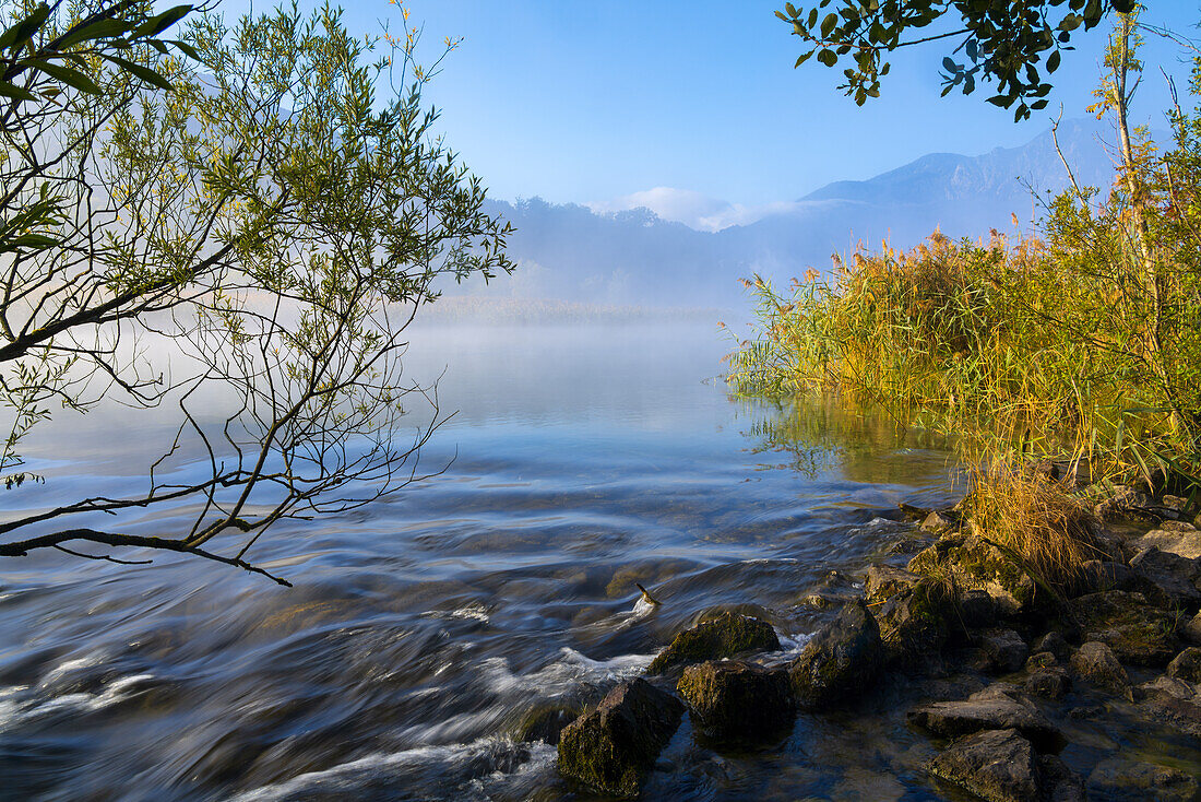 Autumn foggy morning at the Loisach, Kochel am See, Upper Bavaria, Bavaria, Germany