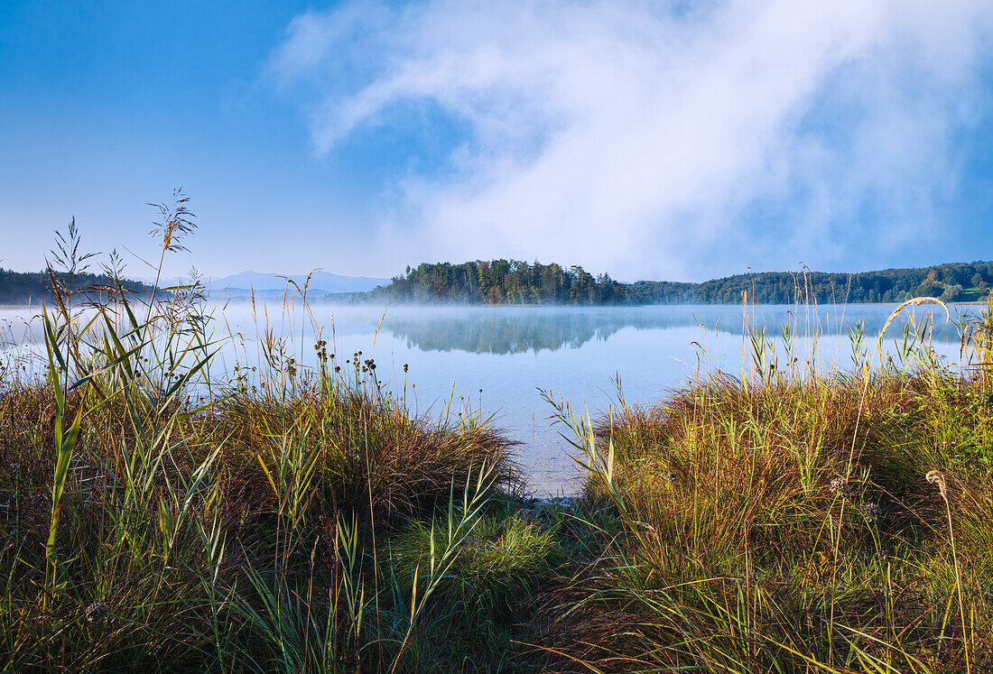 Nebliger Frühherbstmorgen am großen Ostersee, Bayern, Deutschland, Europa\n