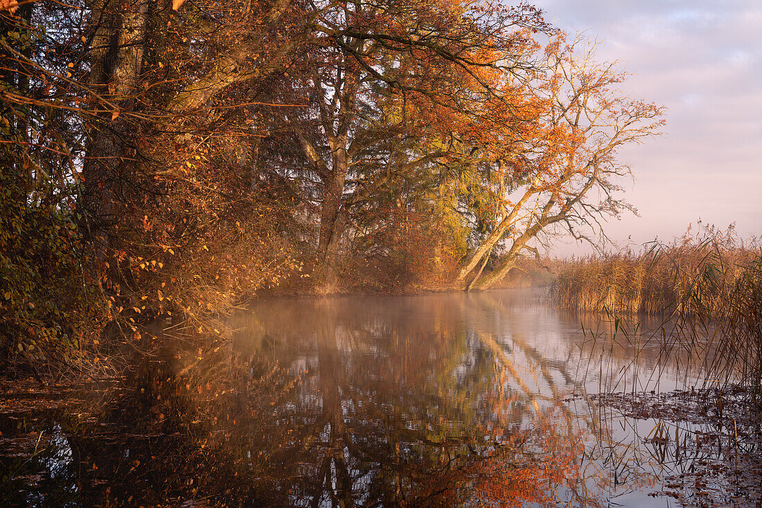 Herbstmorgen an der Ach, Uffing am Staffelsee, Oberbayern, Bayern, Deutschland