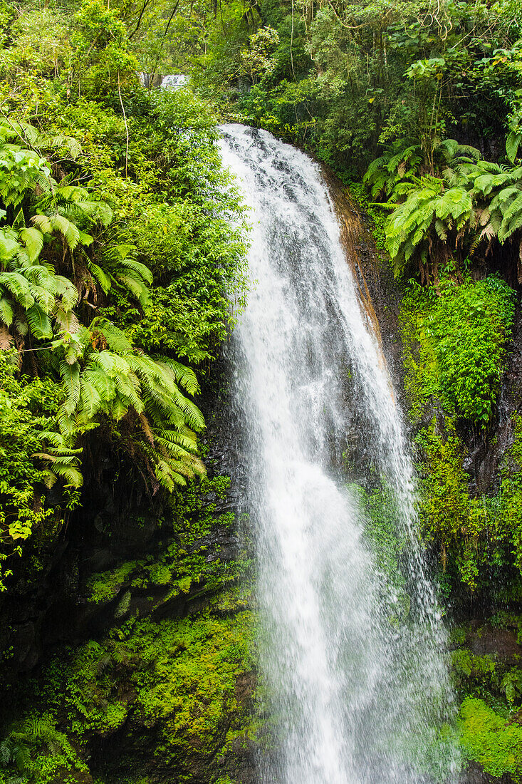 Madagaskar, Antsiranana. Amber Mountain National Park-Wasserfall.