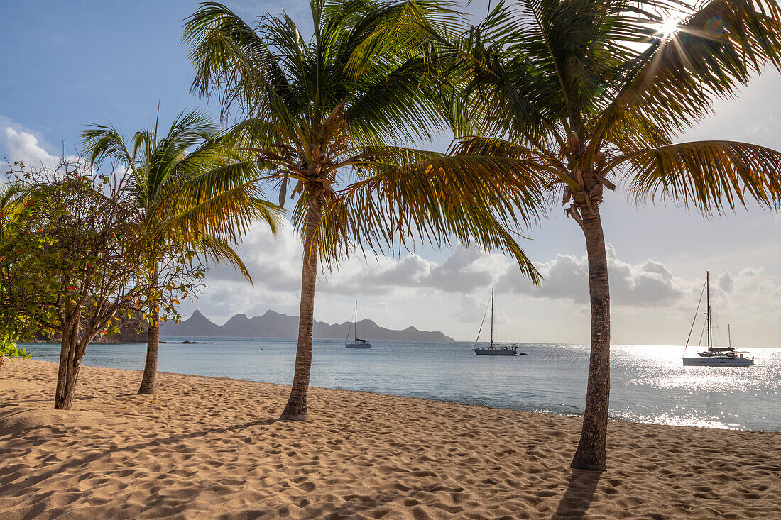 Caribbean, Grenada, Mayreau Island. Sailboats at anchor off beach