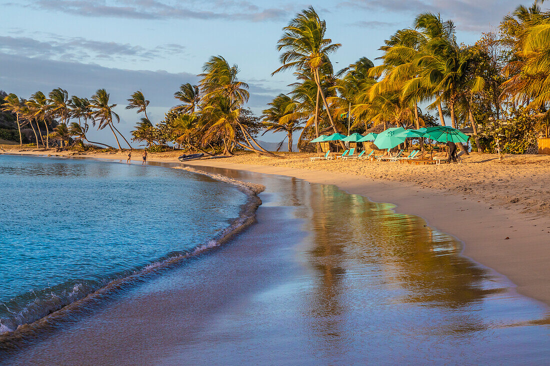 Caribbean, Grenada, Mayreau Island. Beach umbrellas and lounge chairs