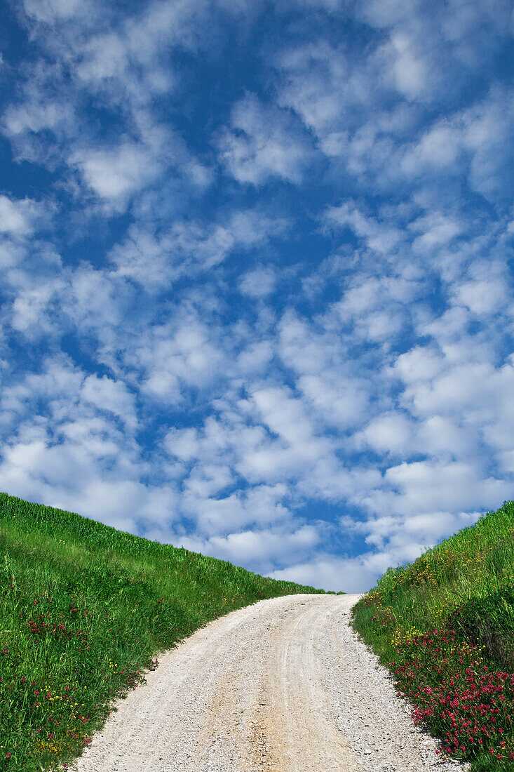 Italien, Toskana. Schotterweg zur Villa