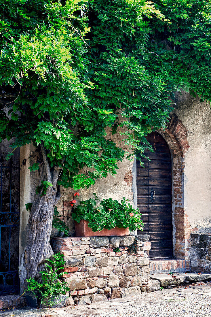 Italy, Tuscany. Courtyard of an agriturismo near the hill town of Montalcino.