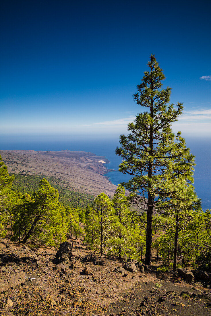 Spanien, Kanarische Inseln, Insel El Hierro, Berg Malpaso, Höhe 1503 Meter, erhöhter Blick auf die Südküste