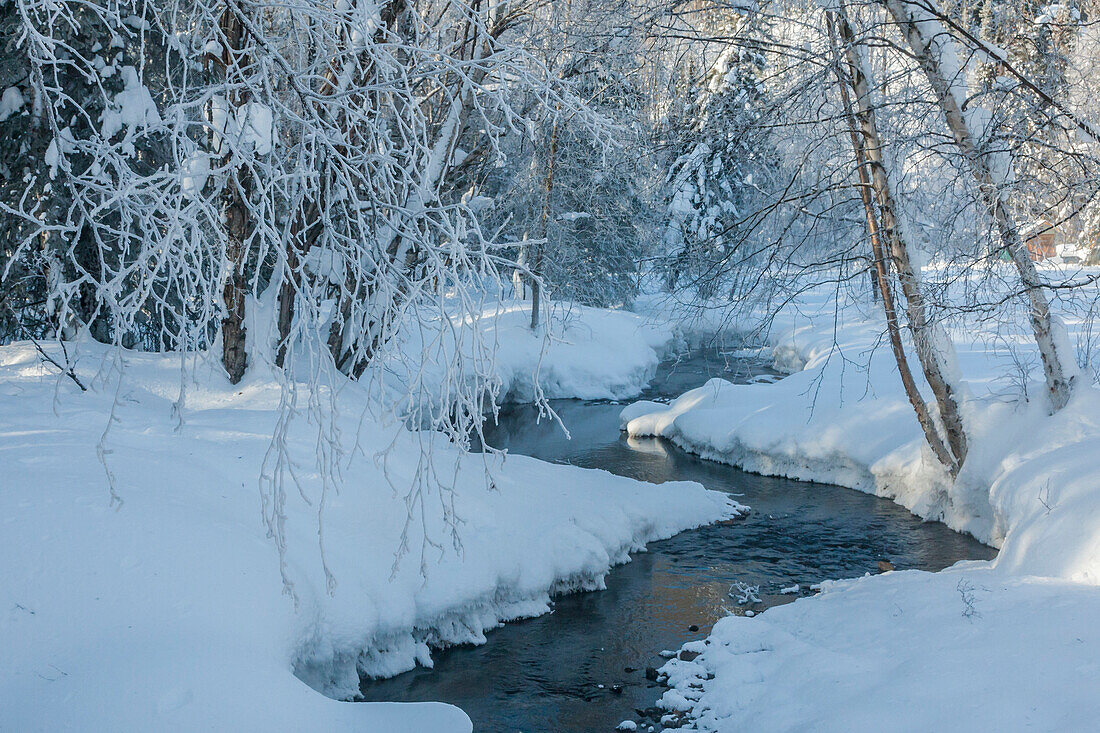 USA, Alaska, Fairbanks. Chena-Fluss im Winter