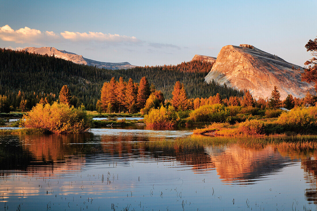 Lembert Dome reflektiert am Tuolumne River bei Sonnenuntergang, Yosemite National Park, Kalifornien