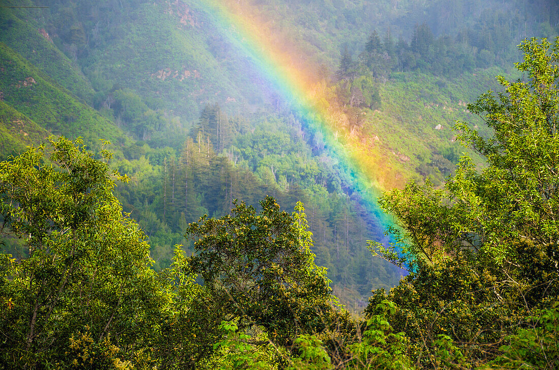 Regenbogen im Andrew Molera State Park, Kalifornien, USA