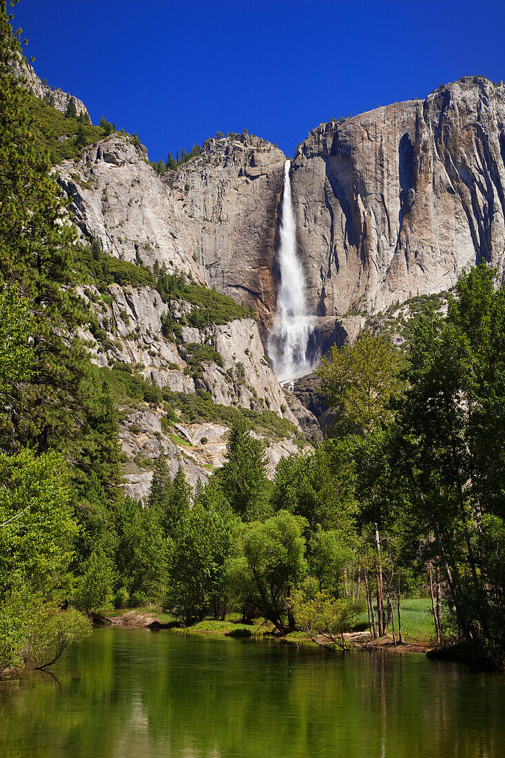 USA, California, Yosemite National Park. Yosemite Falls and Merced River landscape