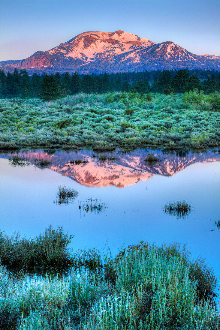 USA, Kalifornien, Sierra-Nevada-Kette. Der Mammoth Mountain spiegelt sich im Mammoth Creek wider