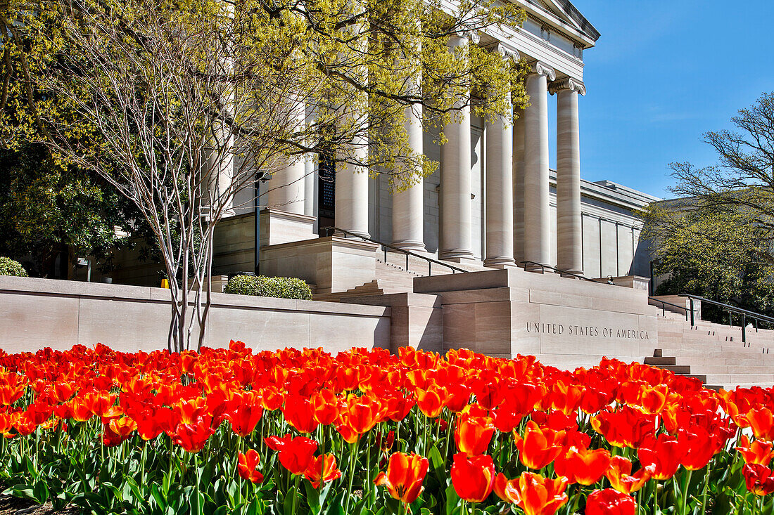 USA, Washington DC, National Gallery of Art West Building im Frühling